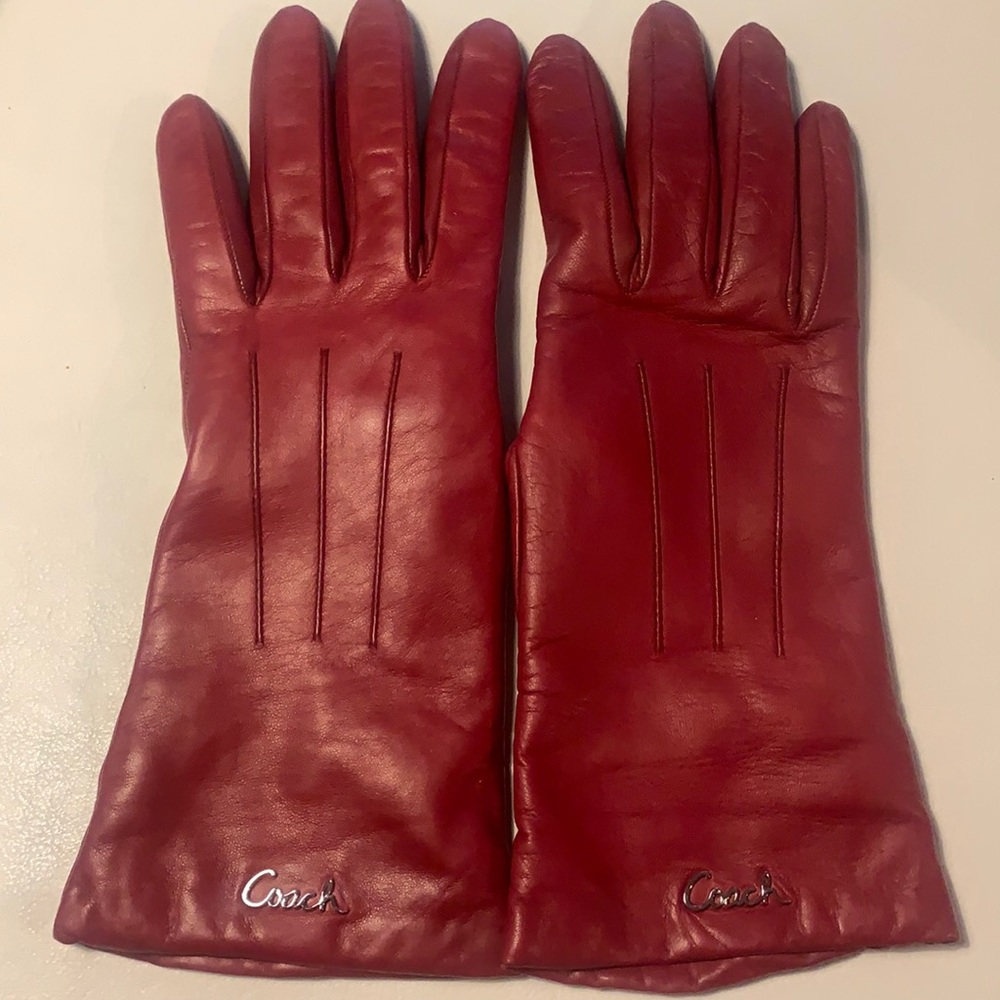 Coach Gloves